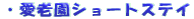 ���V���V���[�g�X�e