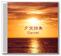 CD jacket