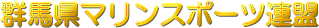 �Q�n���}�����X�|�[�c�A��