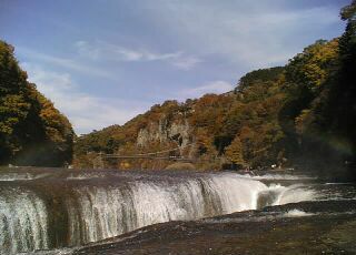 �����̑�i���ʁj