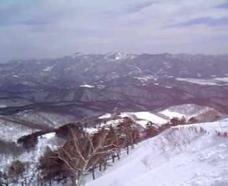 �R������̓W�]