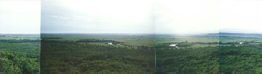 �p�m���}�ʐ^