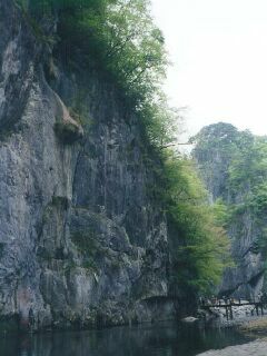 ���q���@