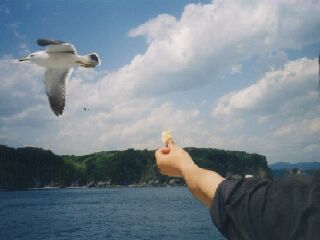 �V���D����̉a�t��