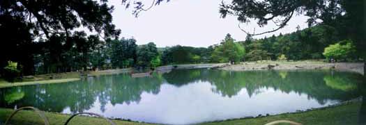 ���(����������)���r