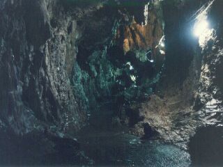 �ߓ����̒�