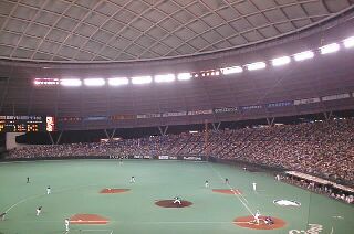 �X�^���h���