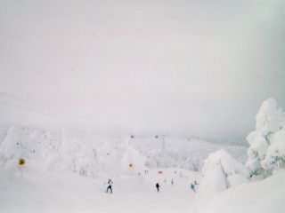 �U���Q������X���������낷