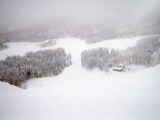 ���q�̃J�x