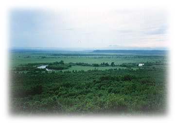 ���H����