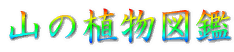 �R�̐A���}��