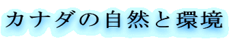 Ji_̎RƊ