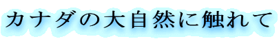 Ji_̑厩RɐG