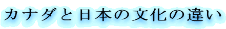 Ji_Ɠ{̈̕Ⴂ