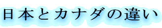 {ƃJi_̈Ⴂ