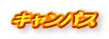 �L�����p�X