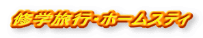 �C�w���s�E�z�[���X�e�B