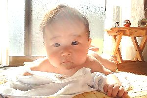 �����܂�œ��Ȃ��ڂ���