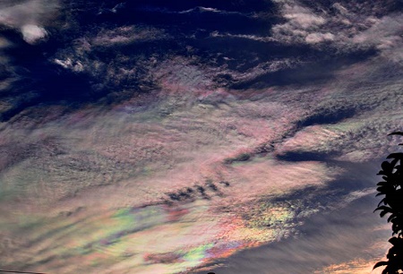 鮮やかな彩雲