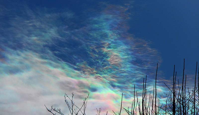 鮮やかな彩雲