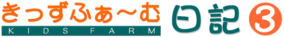 ӂ`ޓL3